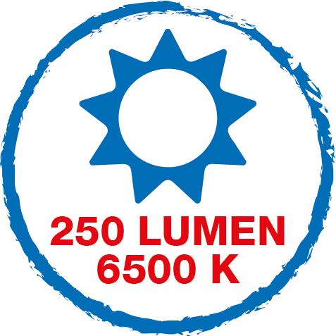 Pince à dénuder N°5 Green Line Kit LED | Outils de dénudage composés jusqu'à 97 % de matières premières renouvelables, kit de 2 pièces comprenant une pince à dénuder et une lampe de travail à LED