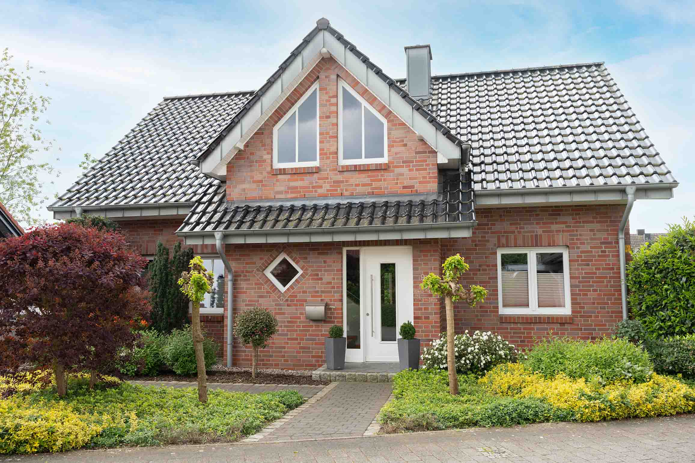 Animated markings image Animated markings image